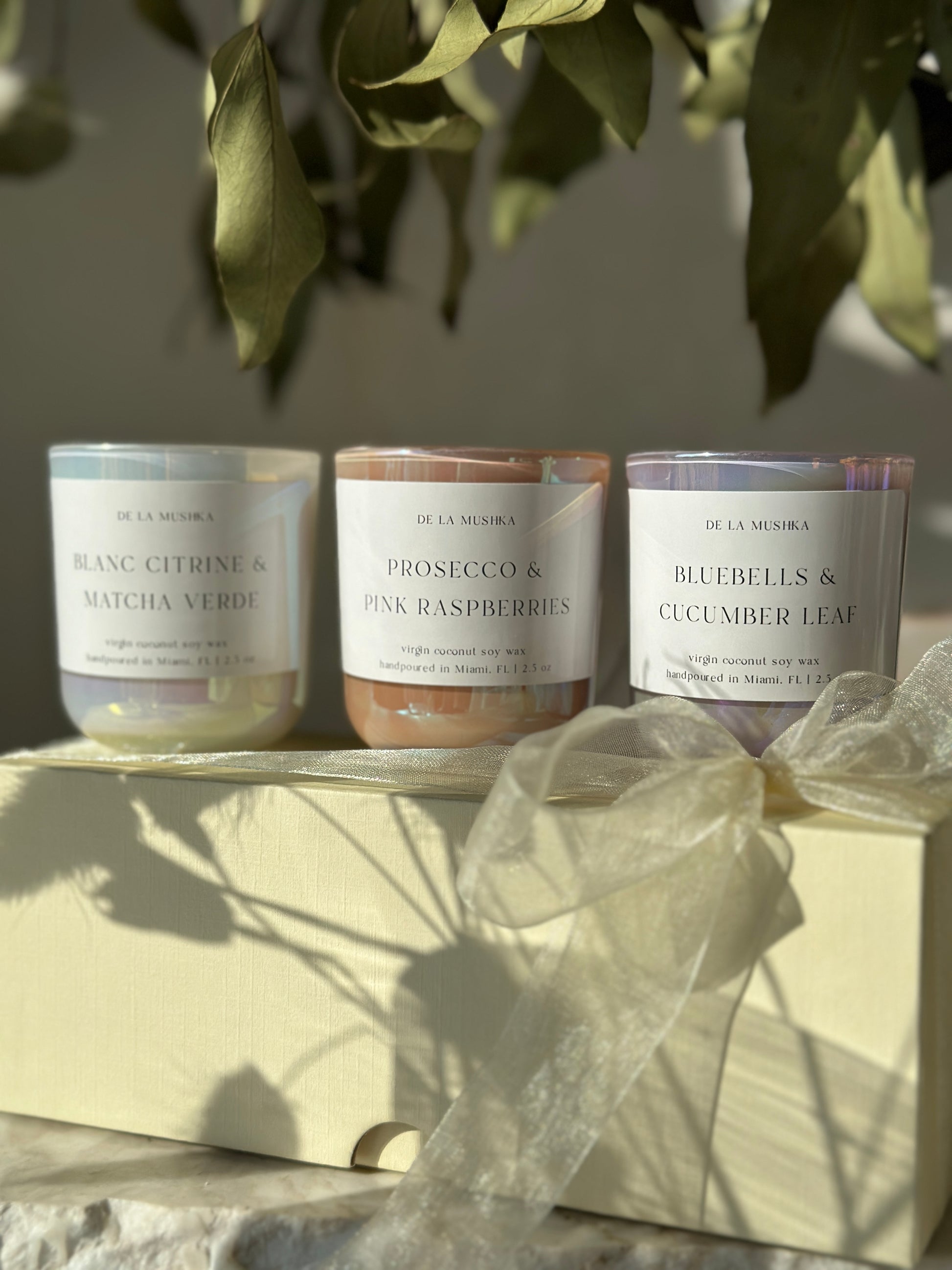 aura coconut soy wax candles collection 